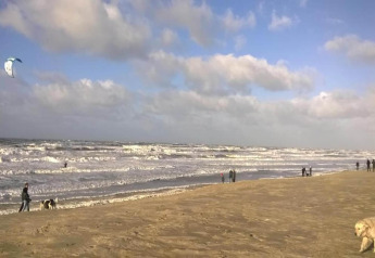 Mensen wandelen met hun honden op een brede zandstrand met golven, een blauwe lucht en wat wolken erboven.