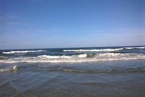 View of the ocean from a beach house, with gentle waves rolling in and a clear blue sky above.