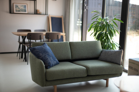 Sala luminosa con sofá verde, mesa de comedor y planta grande en Sea Lodges Zandvoort 3, Países Bajos.