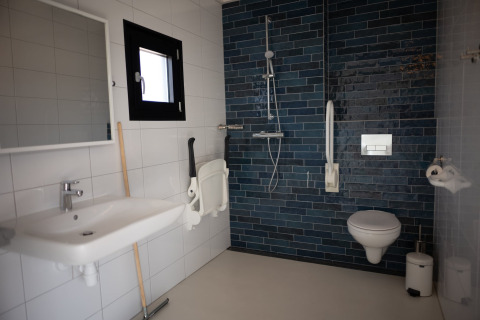 Baño accesible con ducha, inodoro suspendido y barras de apoyo en Sea Lodges Zandvoort 1, Países Bajos.