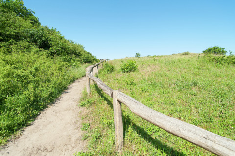 Un sendero soleado con valla de madera y vegetación verde en un alojamiento de glamping en un día claro.