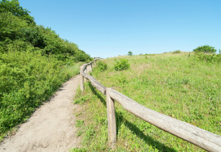 Een zonnig wandelpad met houten afsluiting en groene begroeiing bij een glampingverblijf op een heldere dag.