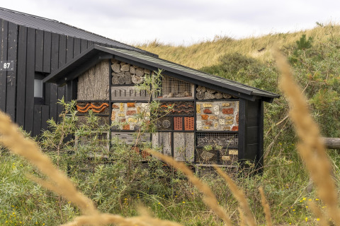 Een insectenhotel staat naast een zwart strandhuis, omgeven door duinen en wilde planten in de natuur.