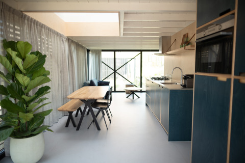 Cocina y comedor modernos en Sea Lodges Zandvoort 4, Países Bajos, con gran planta verde luminosa.