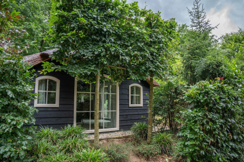 Heivlinder Comfort 4+2p lodge in Nederland, omringd door weelderige tuin en grote bomen.