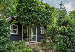 Heivlinder Comfort 4+2p lodge in Nederland, omringd door weelderige tuin en grote bomen.