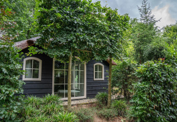 Heivlinder Comfort 4+2p lodge in the Netherlands surrounded by lush garden and tall green trees.