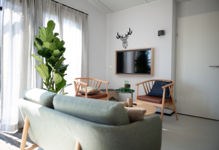 Salón luminoso con sofá verde, planta y TV en la pared en Sea Lodges Zandvoort 9, Países Bajos.