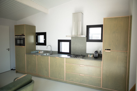 Cocina moderna de casa de playa con armarios verdes, horno, estufa y ventanas en Zandvoort, Países Bajos.