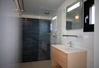 Baño moderno en Sea Lodges Zandvoort 9 en los Países Bajos con ducha, lavabo de madera y azulejos oscuros.