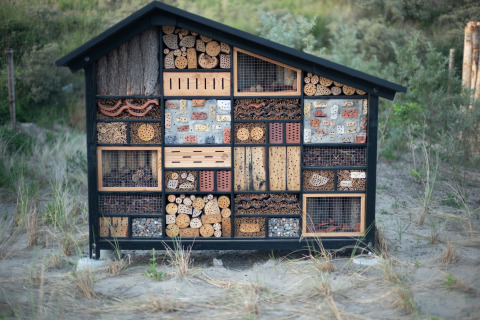 Insectenhotel aan het strand bij Sea Lodges «Zandvoort 6» in Nederland, gemaakt van hout en baksteen.