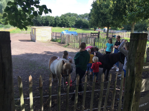 Niños cerca de animales - Camping de Peelweide - Vodatent - Grashoek, Limburgo, Países Bajos