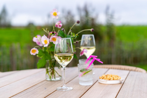 Outdoor table with wine glasses, flowers, snacks, and drinks at 'By the Baker' lodge in the Netherlands.