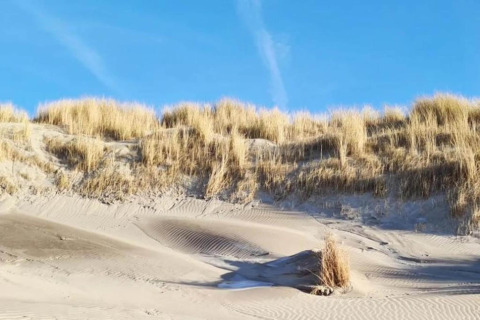 Photo of sandy dunes with tall grass beneath a clear blue sky taken at a glamping accommodation.
