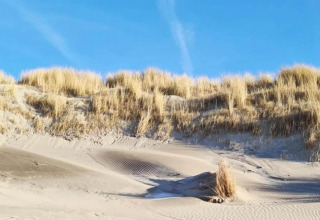 Photo de dunes de sable avec herbes hautes sous un ciel bleu, prise dans un hébergement glamping.