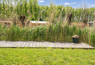 Terrasse en bois avec grandes herbes près d'un lodge près des lacs Kaag et des canaux de Leyde, Pays-Bas.
