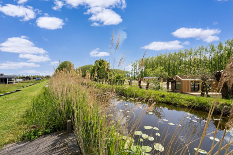 Vue paisible sur un canal avec roseaux et nénuphars près d’un lodge aux lacs Kaag et canaux de Leiden.