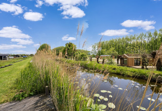 Vue paisible sur un canal avec roseaux et nénuphars près d’un lodge aux lacs Kaag et canaux de Leiden.