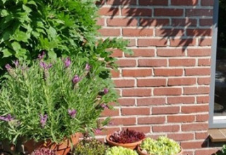 Bloempotten met vetplanten en lavendel op een houten vat voor een bakstenen muur met het bord 'De Peelweide'.