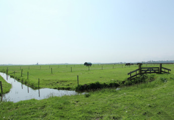 Expansive green fields by De Schone Leij cabin in the Netherlands, featuring a fence, canal, and horses.