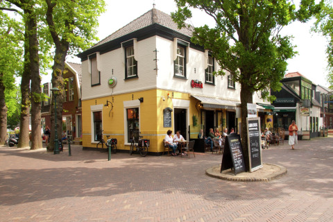 Hoekcafé De Schone Leij met terras en gasten aan tafels in een sfeervolle straat vol bomen in Nederland.