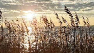 Alrededores - Camping Eefting - Vodatent - Rohel, Frisia, Países Bajos