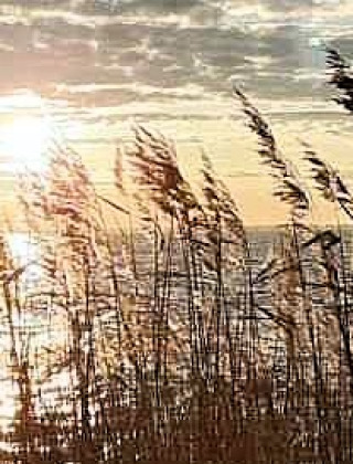 Umgebung - Camping Eefting - Vodatent - Rohel, Friesland, Niederlande