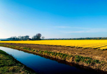Zicht vanaf hut De Schone Leij in Nederland met geel veld, beekje en helderblauwe lucht.