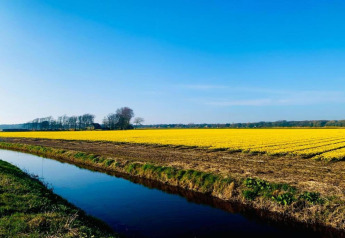 Scenic view from De Schone Leij cabin in the Netherlands, yellow field, canal, trees, and blue sky.
