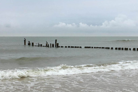 Kustzicht bij «De Schone Leij» in Nederland met golven, vogels op houten palen en een bewolkte lucht.