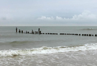 Kustzicht bij «De Schone Leij» in Nederland met golven, vogels op houten palen en een bewolkte lucht.