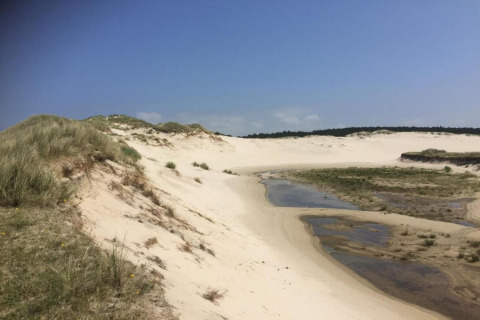 Zandduinen met gras en waterplassen onder blauwe lucht bij De Schone Leij in Nederland, zomers beeld.