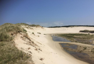 Zandduinen met gras en waterplassen onder blauwe lucht bij De Schone Leij in Nederland, zomers beeld.