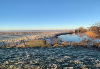 Frosty field with a pond near the cabin 'De Schone Leij' under a clear sky in the Netherlands.