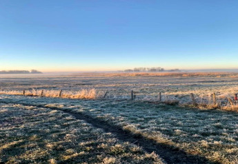 Bevroren grasland bij de hut De Schone Leij in Nederland met blauwe lucht op een koude ochtend.
