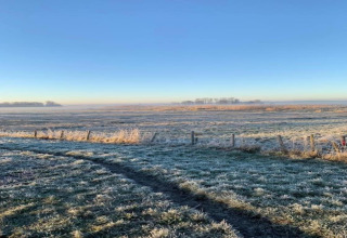Bevroren veld bij het huisje De Schone Leij in Nederland onder een heldere blauwe lucht.