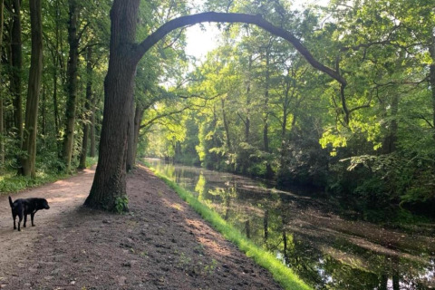 Bospad langs het water bij cabin 'De Schone Leij' in Nederland, met een hond op het pad.