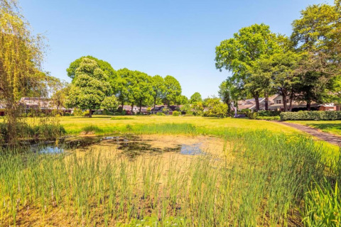 Uitzicht op een vijver met gras, bomen en huisjes bij De Schone Leij in Nederland op een zonnige dag.
