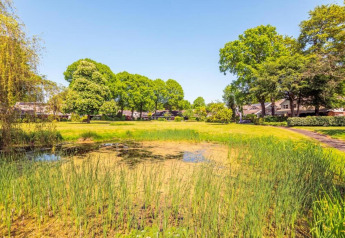 View of a pond surrounded by grass, trees, and cabins at De Schone Leij in the Netherlands on a sunny day.