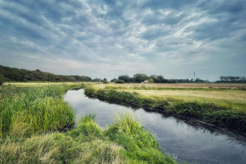 Landschap bij het huisje 'De Schone Leij' in Nederland met beek, grasland en bewolkte lucht.