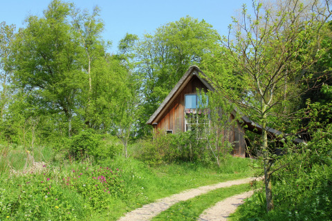 Knusse houten cabin 'De Schone Leij' in Nederland, omringd door groene natuur en bomen.