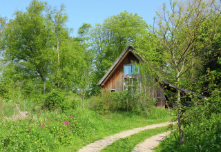 Knusse houten cabin 'De Schone Leij' in Nederland, omringd door groene natuur en bomen.