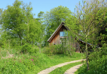 A cozy wooden cabin called 'De Schone Leij' in the Netherlands, surrounded by lush greenery and trees.