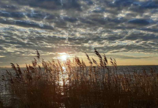 Zonsopgang over het water bij Rohel, Friesland, met riet in de voorgrond en wolken aan de hemel.