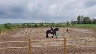 Equitación - Camping Eefting - Vodatent - Rohel, Frisia, Países Bajos