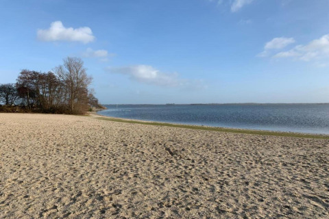 Strandaufnahme vom Resort Hoek van Holland in den Niederlanden mit Sand, Wasser und Bäumen im Hintergrund.