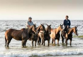 Zwei Personen mit mehreren Pferden stehen am Wasser am Strand des Resorts Hoek van Holland, Niederlande.