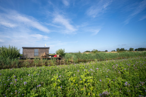 Piccola casa di legno con terrazza nei campi verdi, 'Apartment in Netherlands near the Coast', Paesi Bassi.