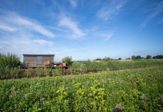 Kleines Holzhaus mit Terrasse auf einer Wiese, 'Apartment in Netherlands near the Coast', Niederlande.