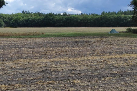 Et foto taget ved en lodge viser et åbent marklandskab med et telt i baggrunden nær en skov.
